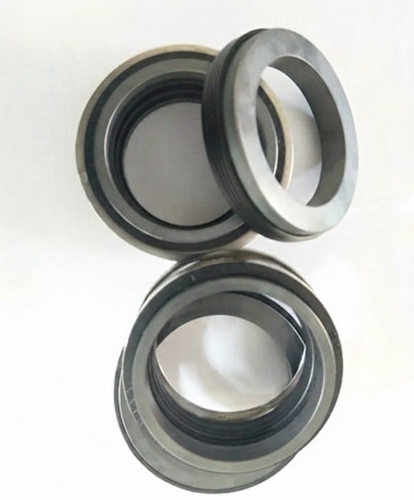 Tại sao phải chọn Phớt bơm chìm chính hãng ABS-MS30/50-00-SBVGG